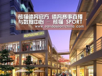 案例展示一(图1)