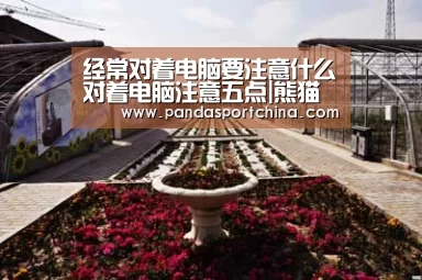 经常对着电脑要注意什么对着电脑注意五点|熊猫体育官网(图2) 熊猫体育官网